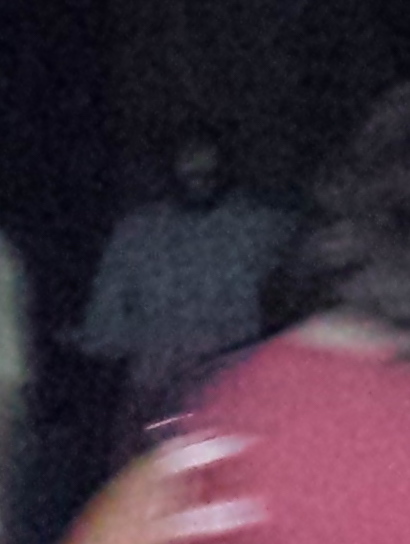 cemeterybeard